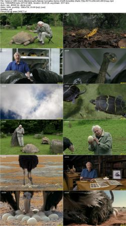 BBC - David Attenboroughs Natural Curiosities Series 4 2018 720p HDTV x264 AAC MVGroup