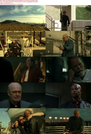 Lethal Weapon S02E18 PROPER 720p HDTV x264-BATV