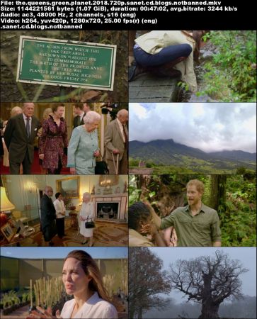 ITV - The Queen's Green Planet (2018) 720p HDTV x264-QPEL