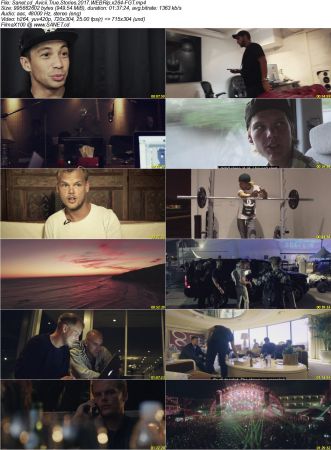 Avicii True Stories 2017 WEBRip x264-FGT