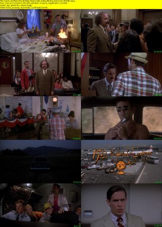 Where the Buffalo Roam 1980 1080p BluRay H264 AAC-RARBG