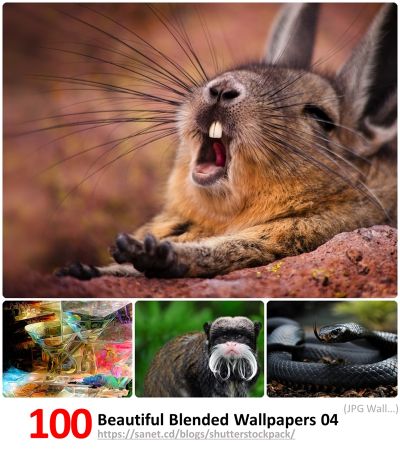 Beautiful Mixed Blended Wallpapers # 004