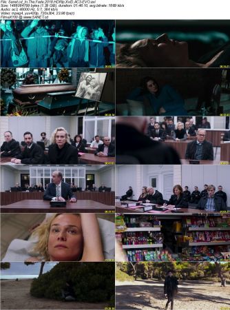 In The Fade 2018 HDRip XviD AC3-EVO