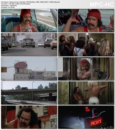 Up in Smoke 1978 BluRay 10Bit 1080p DD5.1 H265-d3g