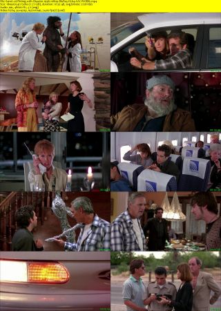 Flirting with Disaster 1996 1080p BluRay H264 AAC-RARBG