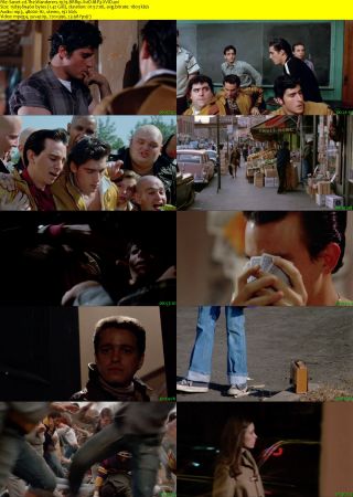 The Wanderers 1979 BRRip XviD MP3-XVID