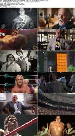 Andre the Giant 2018 1080p AMZN WEB-DL DDP2.0 H264-monkee