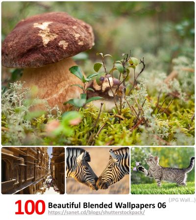Beautiful Mixed Blended Wallpapers # 006