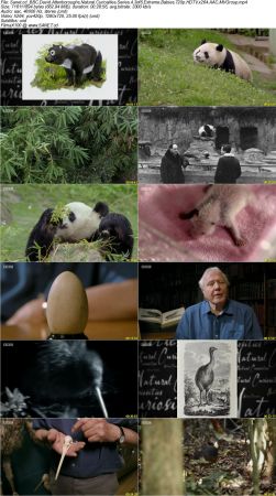 BBC - David Attenboroughs Natural Curiosities Series 4 2018 720p HDTV x264 AAC MVGroup