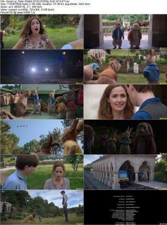 Peter Rabbit 2018 DVDRip XviD AC3-iFT
