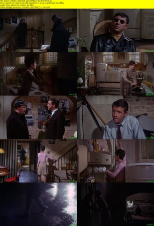 Wait Until Dark 1967 BRRip XviD MP3-XVID