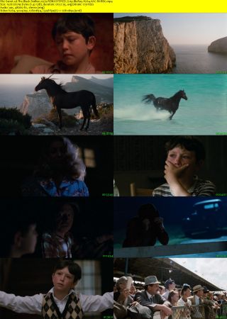 The Black Stallion 1979 REMASTERED 720p BluRay H264 AAC-RARBG