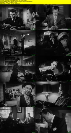 Hollow Triumph 1948 BRRip XviD MP3-XVID