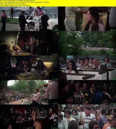 Nashville 1975 BRRip XviD MP3-XVID