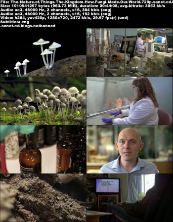 CBC The Nature Of Things - The Kingdom: How Fungi Made Our World (2018) 720p WebRip x264 AC3-TVC