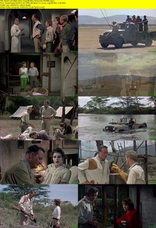 Hatari 1962 720p BluRay H264 AAC-RARBG