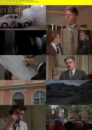 The Day of the Jackal 1973 BRRip XviD MP3-XVID
