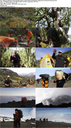 Smithsonian Earth - Nomads of the Serengeti Series 1 2018 1080p HDTV x264 AAC MVGroup