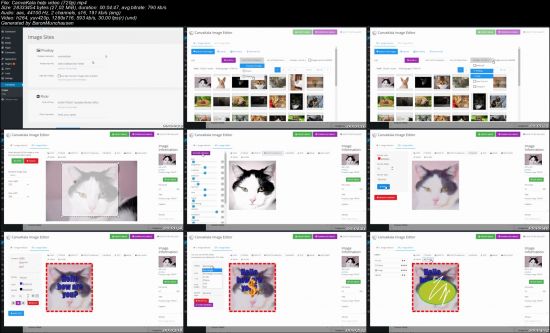 Canvakala: The Photoshop For Wordpress