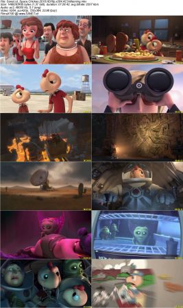 Space Chicken 2018 HDRip x264 AC3-Manning