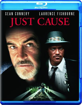 Just Cause 1995 1080p BluRay DDP 5.1 10bit H265-iVy