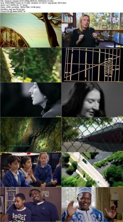 Innsaei 2016 1080p WEB-DL H264-iKA