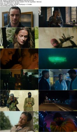 Submergence 2018 WEB-DL XviD AC3-FGT