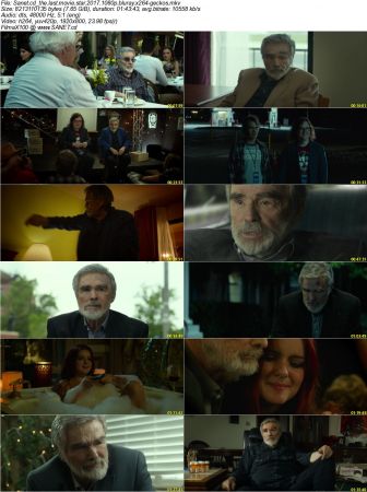 The Last Movie Star 2017 1080p BluRay x264-GECKOS