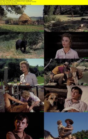 Old Yeller 1957 720p BluRay H264 AAC-RARBG