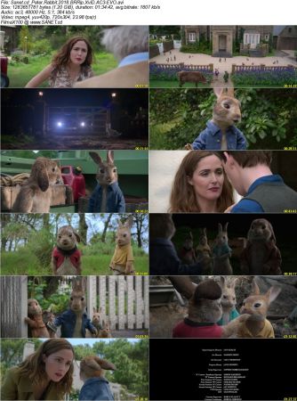 Peter Rabbit 2018 BRRip XviD AC3-EVO
