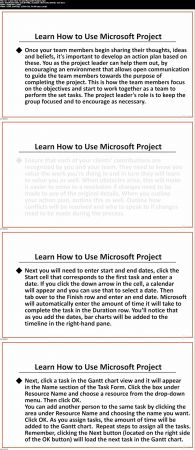 Project &amp; Risk Management: Microsoft Project &amp; Leadership