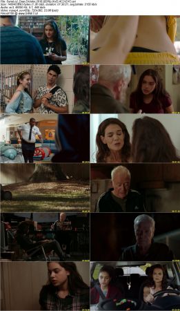 Dear Dictator 2018 BDRip XviD AC3-EVO