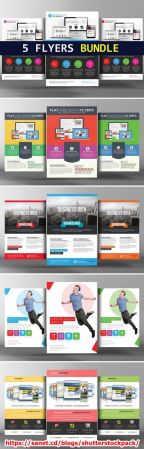 CM - 5 Website Design Flyers Bundle 2378129