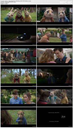 Peter Rabbit 2018 720p Bluray HEVC DTS Omikron