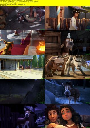 The Star 2017 720p Bluray DD5.1 x264-playHD
