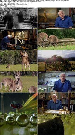 BBC - David Attenboroughs Natural Curiosities Series 4 2018 720p HDTV x264 AAC MVGroup