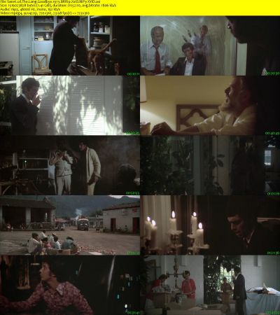 The Long Goodbye 1973 BRRip XviD MP3-XVID
