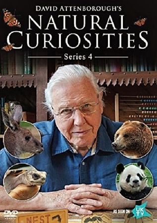 BBC - David Attenboroughs Natural Curiosities Series 4 2018 720p HDTV x264 AAC MVGroup