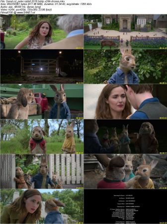 Peter Rabbit 2018 BDRip x264-DRONES
