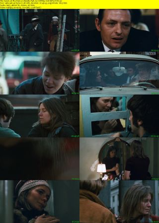 The Panic in Needle Park 1971 BRRip XviD MP3-XVID