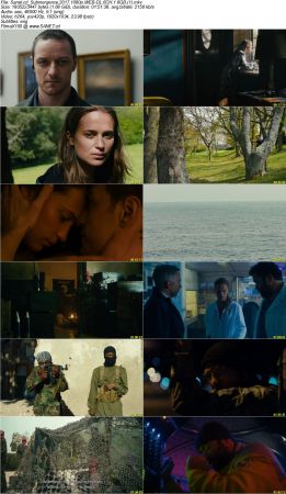 Submergence 2017 1080p WEB-DL 6CH 1.6GB SHERIF