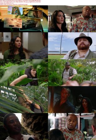 Hawaii Five-0 2010 S08E20 720p HDTV X264-DIMENSION