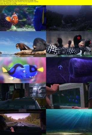 Finding Dory 2016 1080p BluRay H264 AAC-RARBG