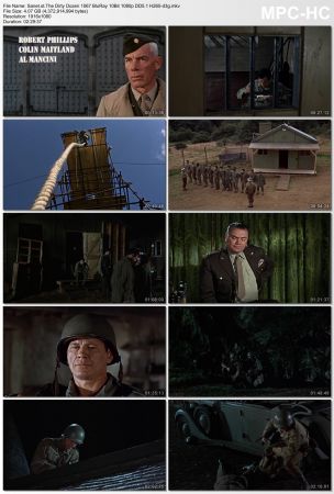 The Dirty Dozen 1967 BluRay 10Bit 1080p DD5.1 H265-d3g