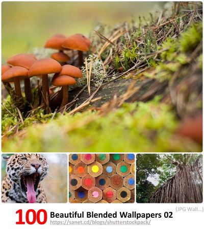 Beautiful Mixed Blended Wallpapers # 002
