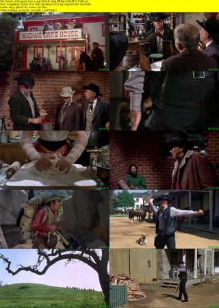 Support Your Local Sheriff 1969 BRRip XviD MP3-XVID