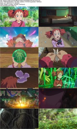 Mary and the Witchs Flower 2018 BDRip XviD AC3-EVO