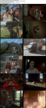 The Magic of Lassie 1978 DVDRip XViD