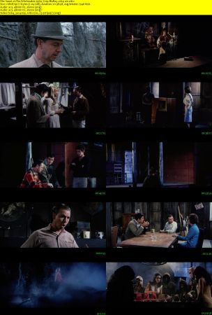 The Witchmaker 1969 720p BluRay x264-x0r