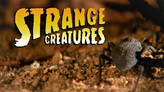 BlueAntMedia - Strange Creatures Series 1 2017 1080p HDTV x264 AAC MVGroup